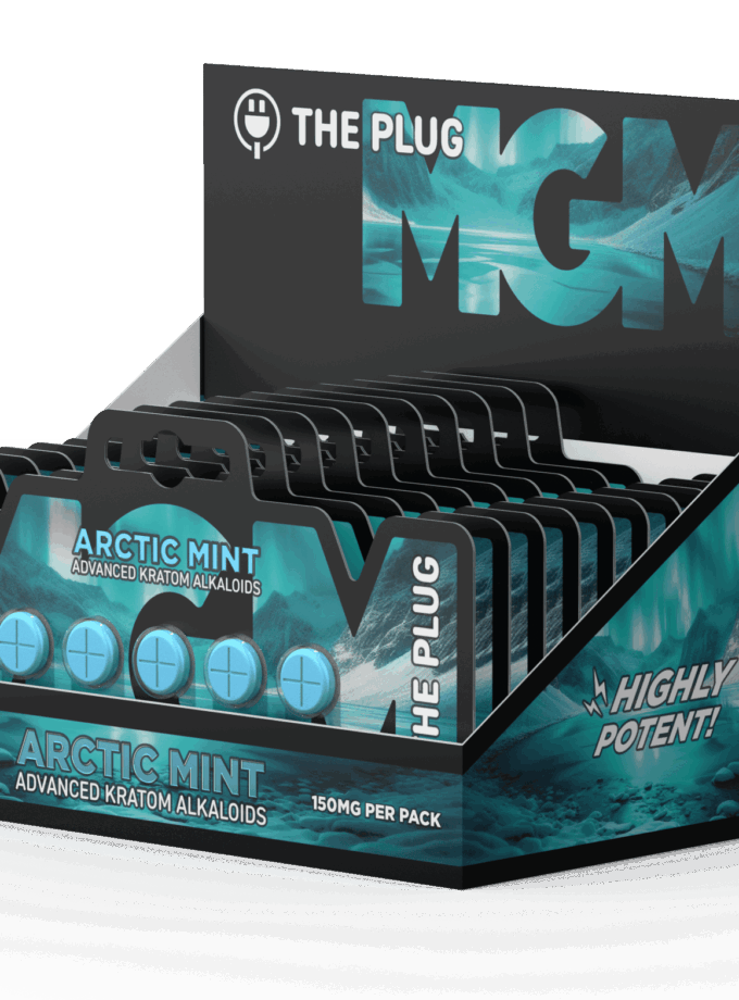 THE PLUG MGM 5ct | 150mg | Arctic Mint