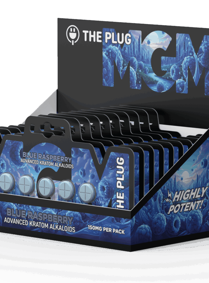 THE PLUG MGM 5ct | 150mg | Blue Raspberry